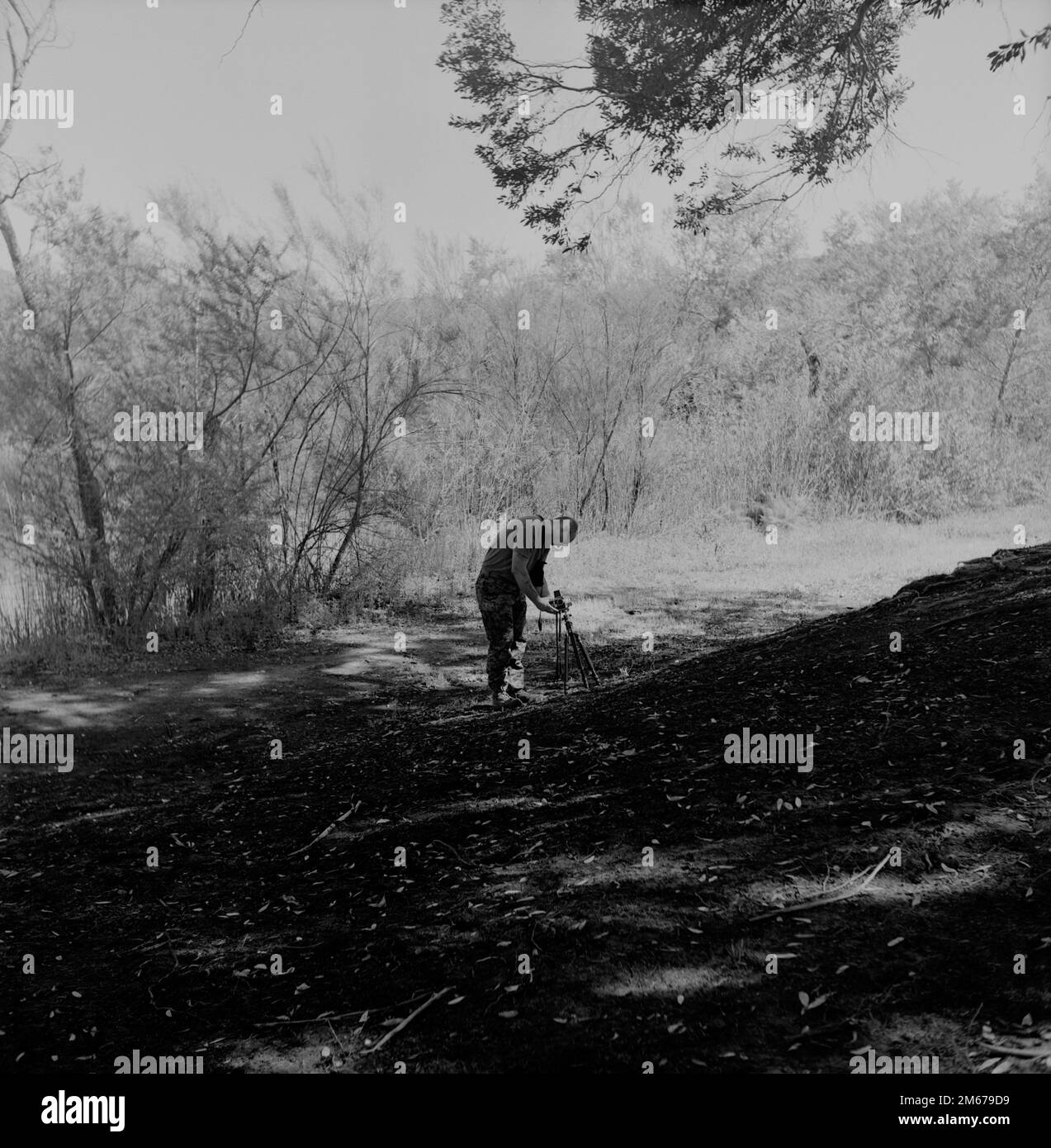 USA Chief Warrant Officer des Marine Corps 2 Eric LaClair, Visual Information Officer bei Communication Strategy and Operations, 1. Marine Logistics Group, I Marine Expeditionary Force macht Fotos mit einer Hasselblad 500c-Mittelformatkamera während eines Feldtreffens von CLR 17 im Camp Pendleton, Kalifornien, 8. April 2022. Das Treffen wurde abgehalten, um die Moral und Kameradschaft des Regiments zu stärken. Stockfoto