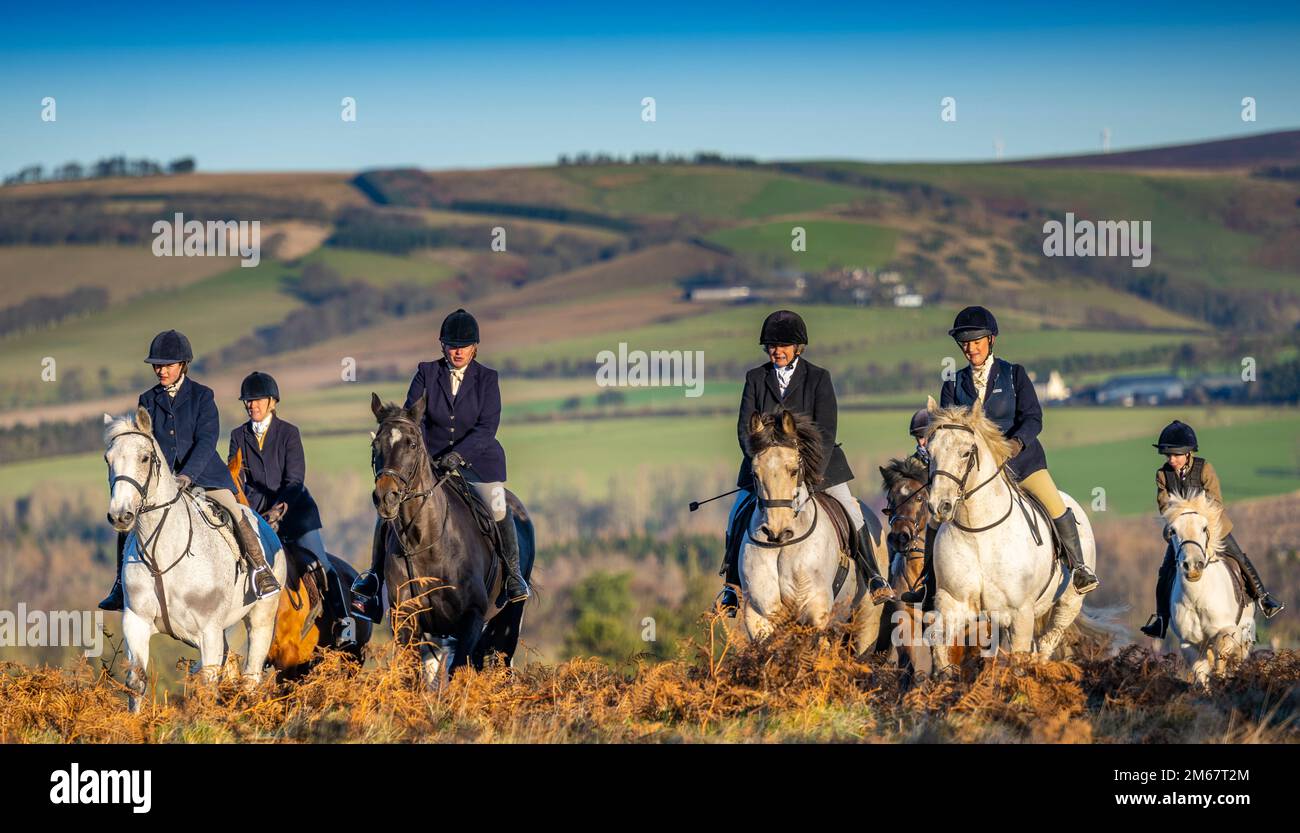 Lauder, Großbritannien. 21. Dezember 2022. Januar 2. 2023. Lauder, Schottische Grenzen, Schottland. Die jährliche Neujahrsjagd von Lauderdale, die heute auf den Feldern und im Moorland um Lauder in der schottischen Grenze gezeigt wird, unter der leitung des Meisters der Jagd versammelten sich heute Morgen Reiter, um den Hunden über das Lauder Common Moor zu folgen, bei sonnigen Lichtverhältnissen und eisiger Kälte in der Luft. Bildnachweis: phil wilkinson/Alamy Live News Stockfoto