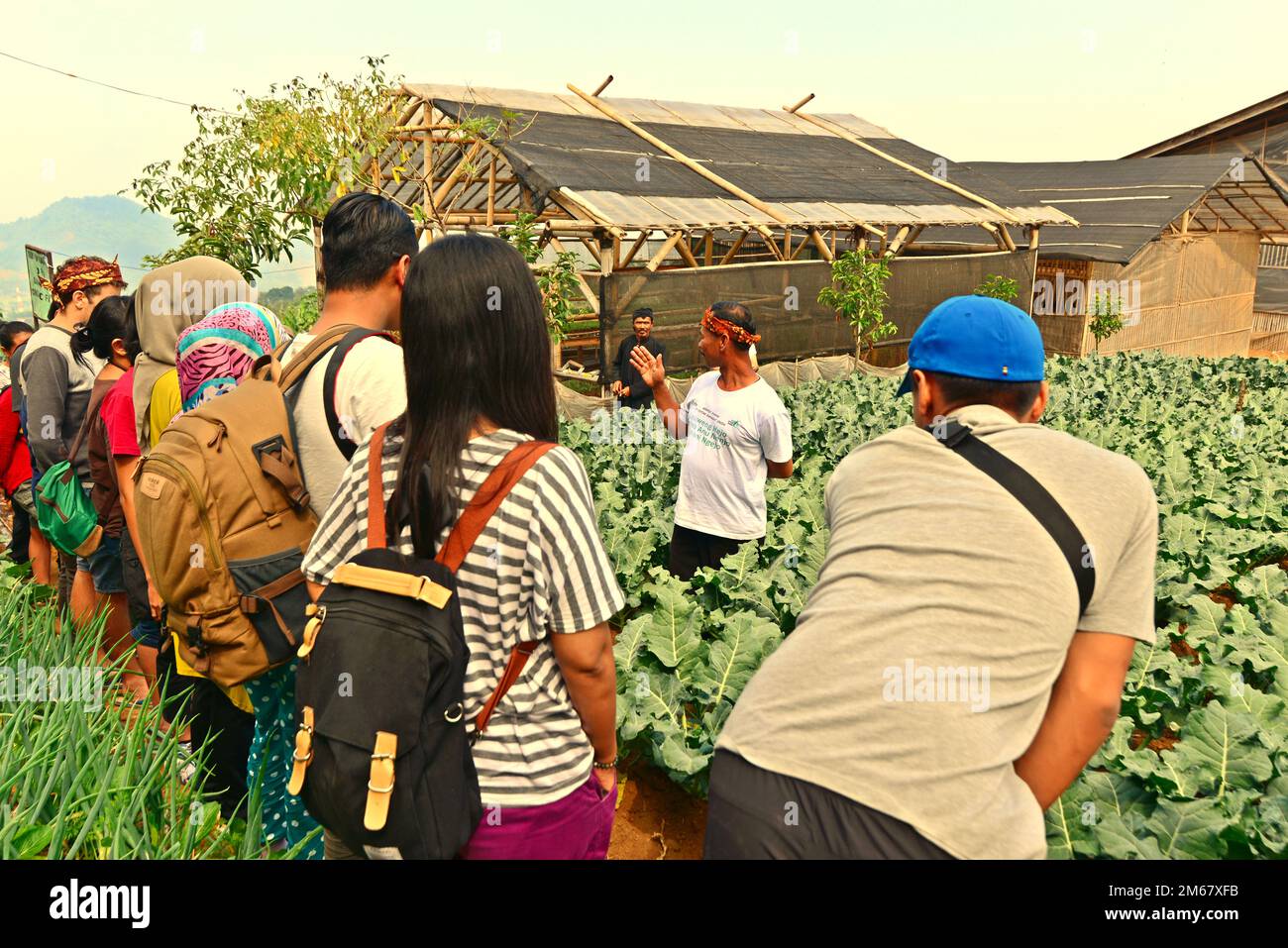 Ein Landwirt, der den Besuchern auf einem Feld mit ökologischem Gemüse während des "Festival Sarongge", einer landwirtschaftlichen Thanksgiving-Veranstaltung, die zeitgleich mit der Feier des Unabhängigkeitstages Indonesiens stattfindet, der jedes Jahr am 17. August in Ciputri, Pacet, Cianjur, West Java begangen wird, eine Erklärung über den ökologischen Landbau gibt, Indonesien. Stockfoto