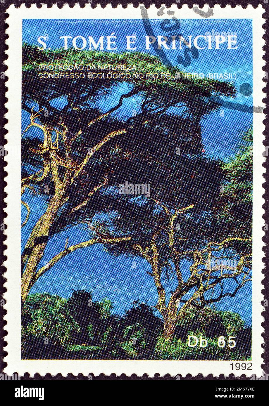 Stornierter Briefstempel von Sao Tomé und Principe, der Regenwald, UN-Konferenz über Umweltentwicklung Rio, ca. 1992, zeigt. Stockfoto