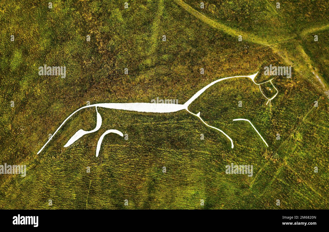 Uffington White Horse. 3500 Jahre alte prähistorische Kreidefigur, die in einen Kreidehügel der Berkshire Downs, England, gehauen wurde. 110 Meter lang Stockfoto