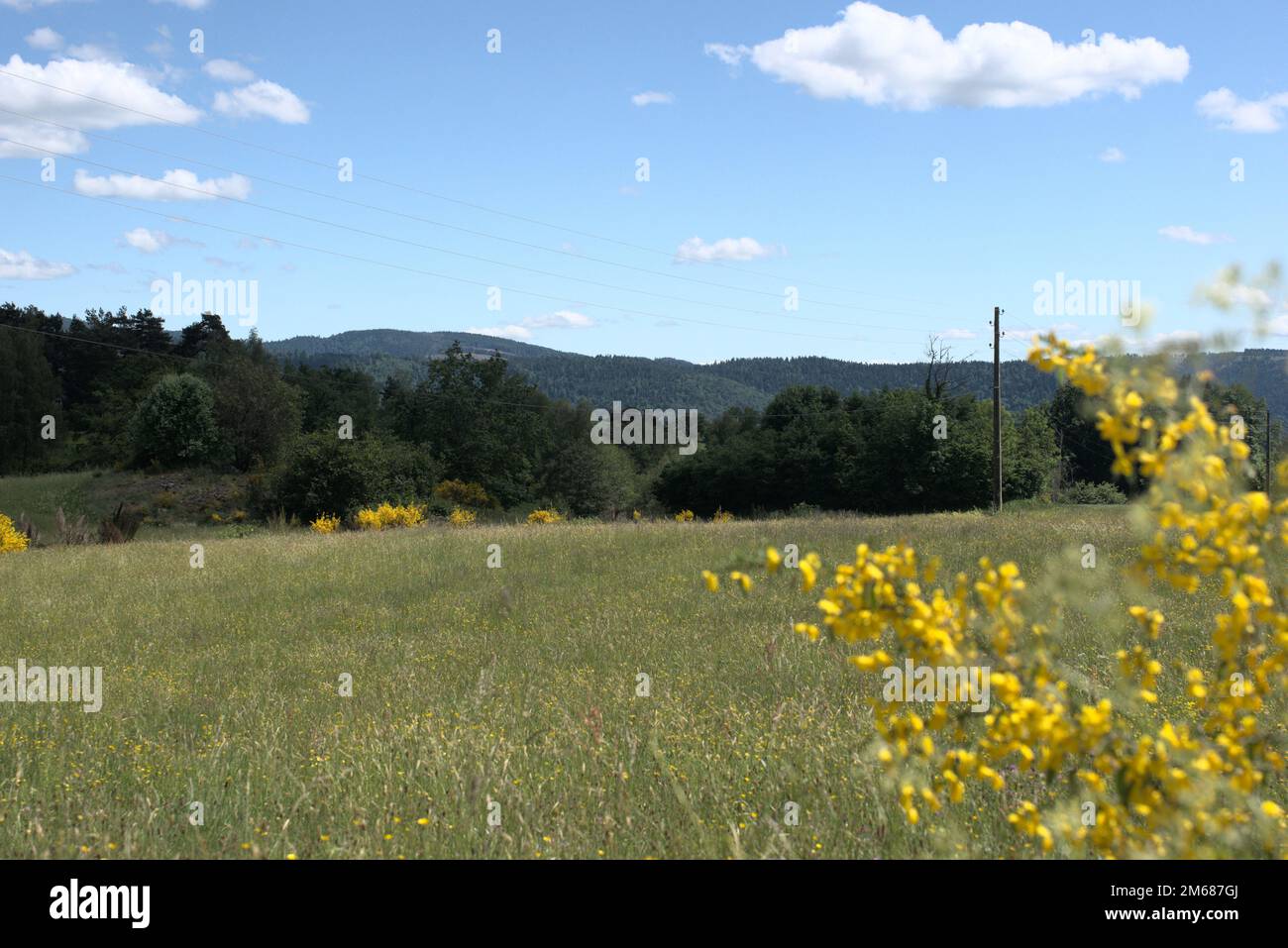 Landschaften von Haute-Saône - Bourgogne Franche-comté - Frankreich Stockfoto