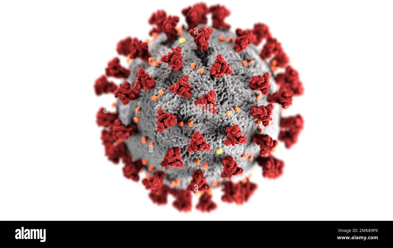 Diese Illustration, die in den Centers for Disease Control and Prevention (CDC) erstellt wurde, zeigt die ultrastrukturelle Morphologie von Coronaviren. Beachten Sie die Stacheln, die die äußere Oberfläche des Virus schmücken, die das Aussehen einer Corona um das Virion verleihen, wenn sie elektronenmikroskopisch betrachtet werden. Ein neuartiges Coronavirus mit dem Namen Severe Acute Respiratory Syndrome Coronavirus 2 (SARS-CoV-2) wurde als Ursache eines Ausbruchs einer Atemwegserkrankung identifiziert, die erstmals 2019 in Wuhan, China, entdeckt wurde. Die durch dieses Virus verursachte Krankheit wurde als Coronavirus Disease 2019 (COVID-19) bezeichnet. (Kredit: Zentrum für Stockfoto