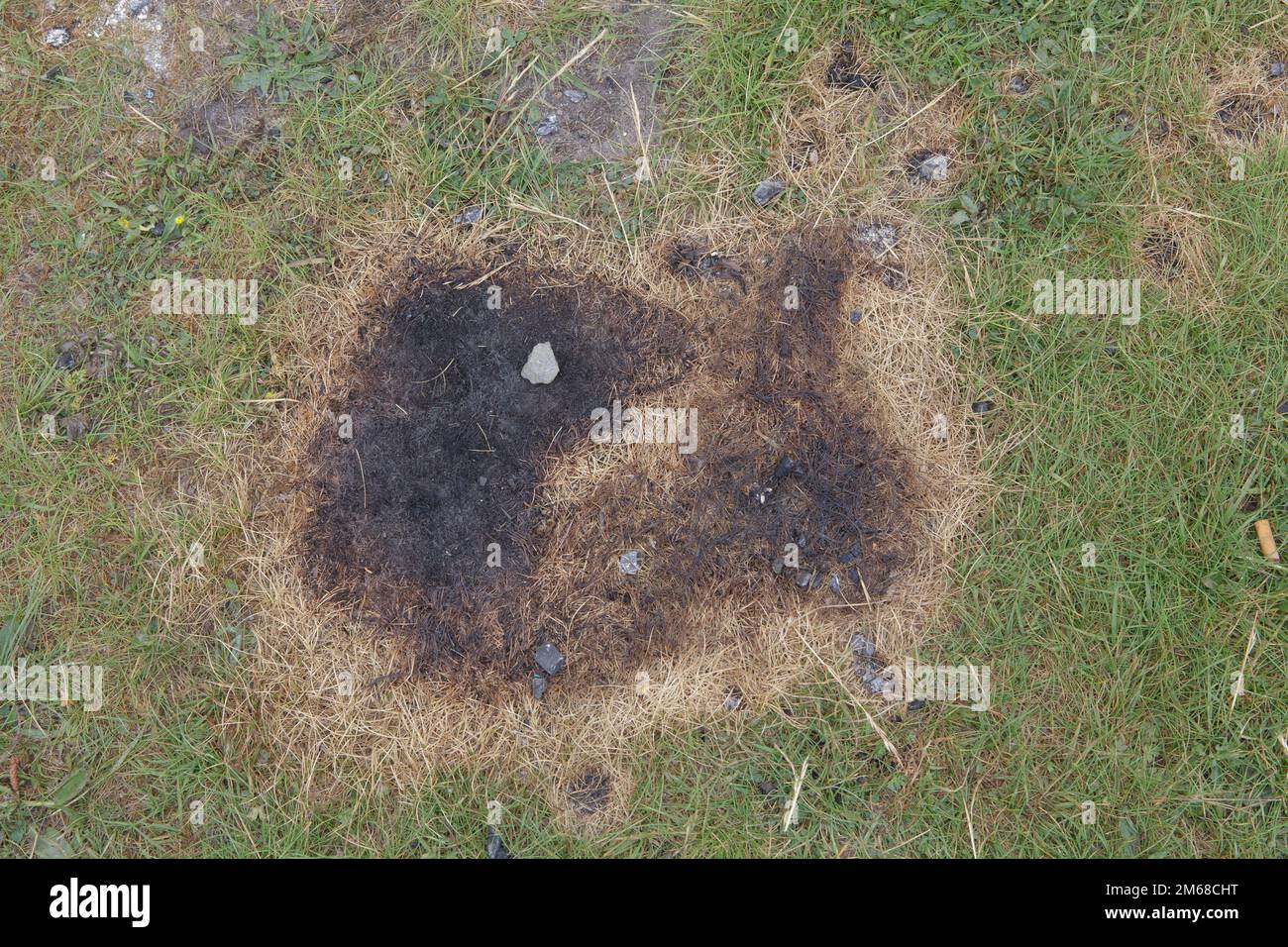 Die Brandspuren, die Einweg-Barbecues in einem Naturschutzgebiet am Fluss Tees hinterlassen haben Stockfoto