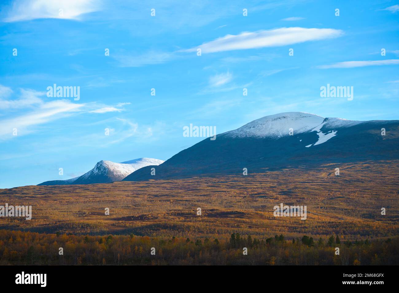 Herbstsaison in Abisko mit Bergen im Hintergrund, Abisko, schwedisches Lappland, Schweden Stockfoto