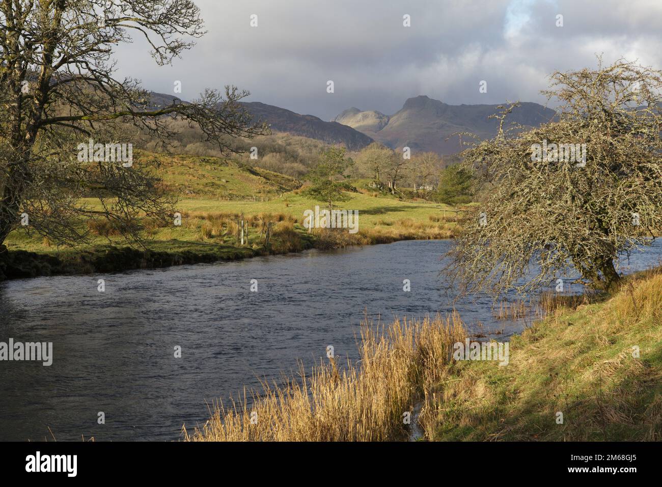 Am Ufer des Flusses Brathay, der sich dem Elter Water im Lake District nähert. Mit den Langdale Hills im Hintergrund Stockfoto