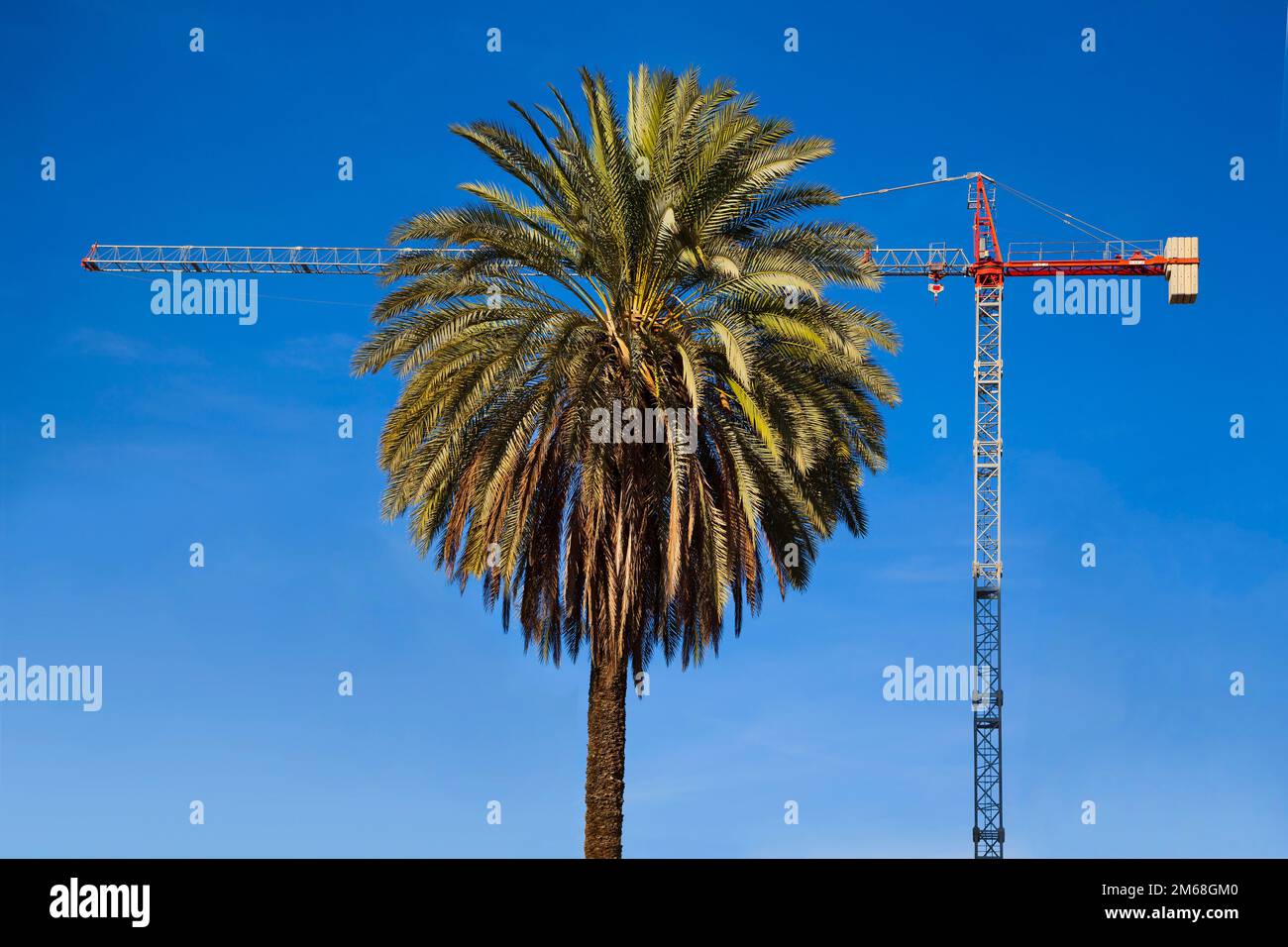 Palme mit einem Turm Nekran dahinter, blauer Himmel, helle Sonne Stockfoto
