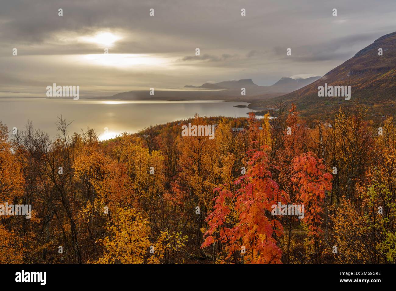 Herbstsaison in Abisko mit Lapporten im Hintergrund aus Björkliden, Schweden, Schweden Stockfoto