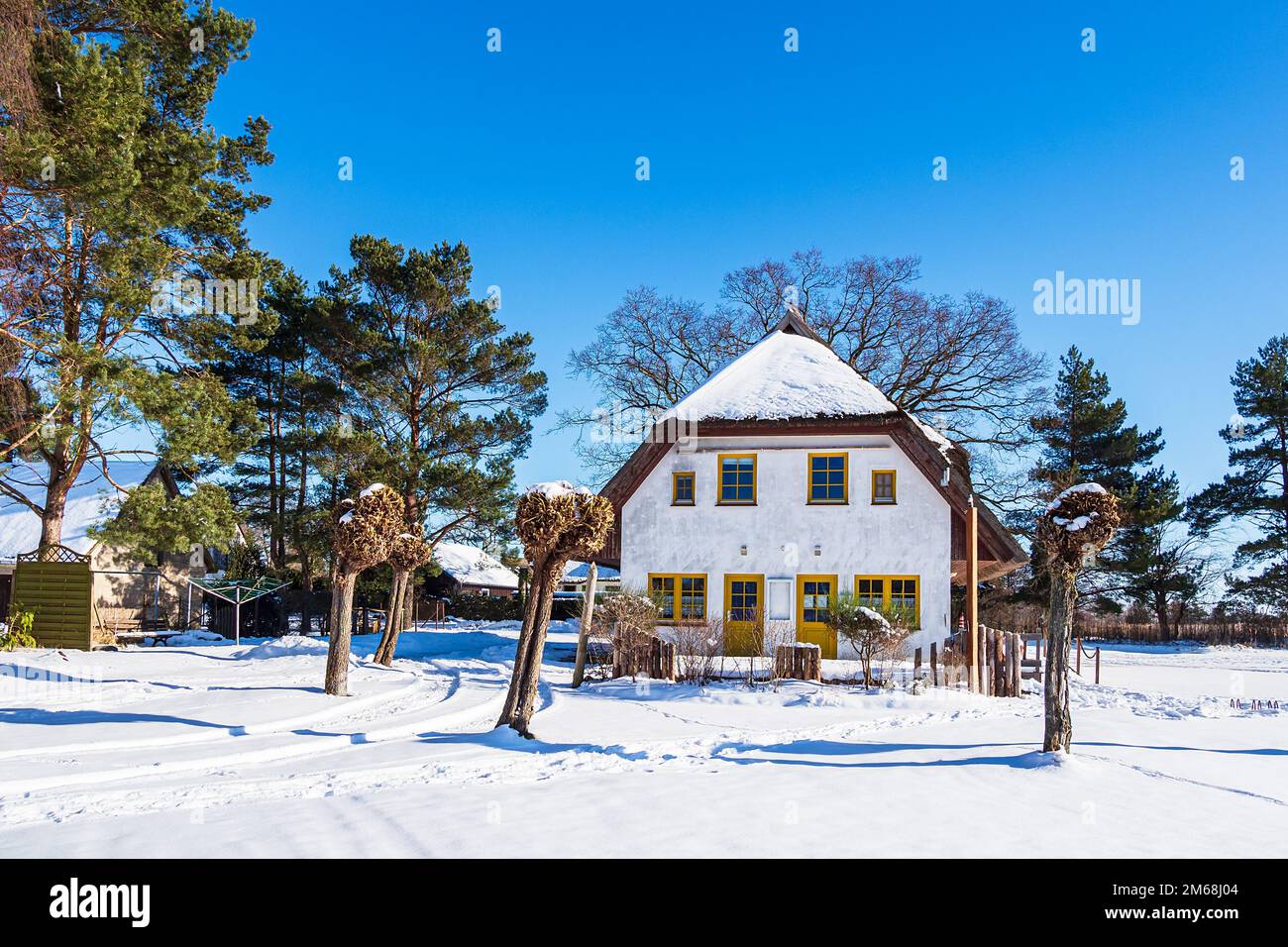 House On The Bodden In Wieck Auf Fischland-Darß Im Winter. Stockfoto