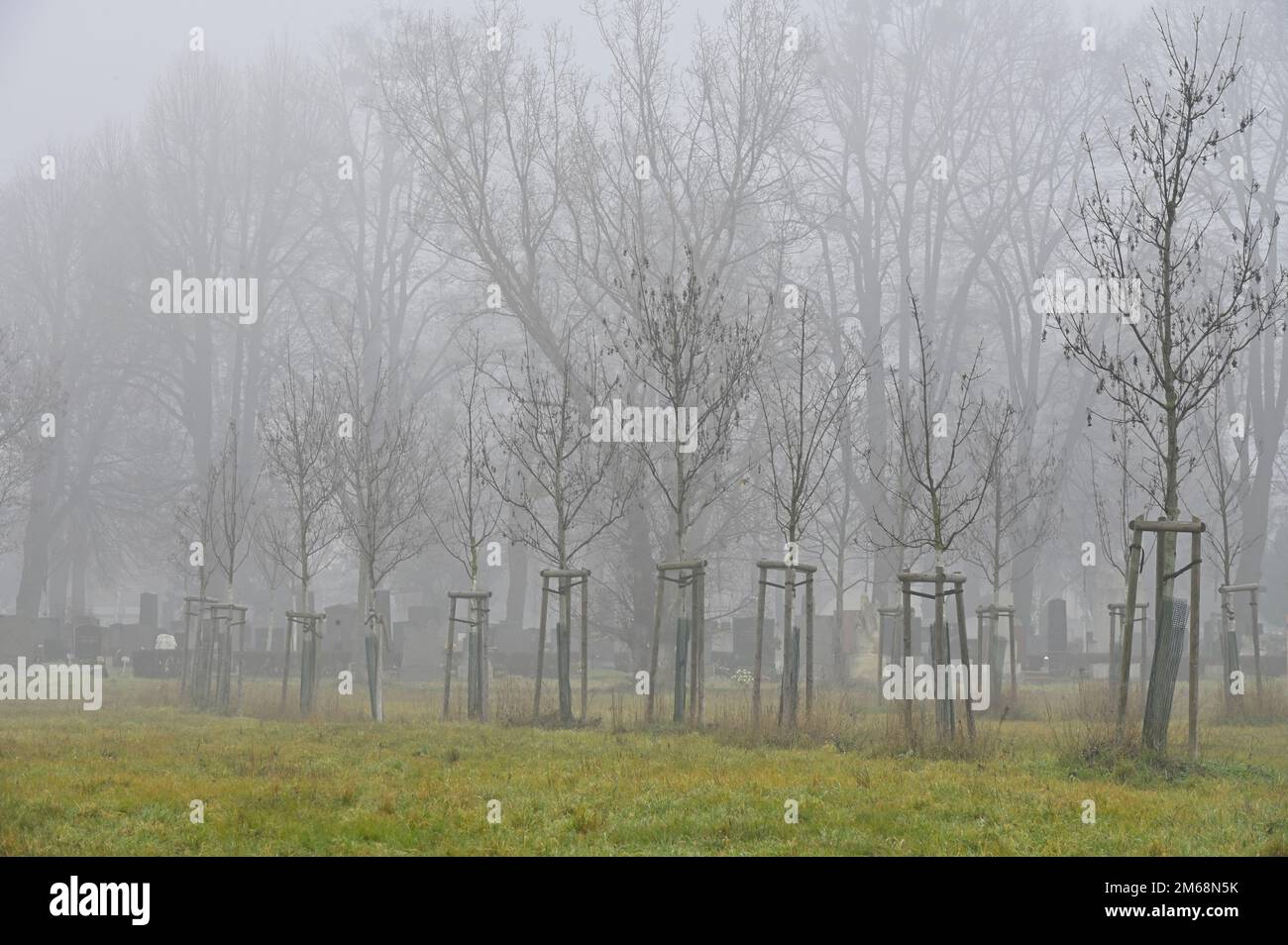 Wien, Österreich. Wiener Zentralfriedhof. Winternebel auf dem zentralen Friedhof in Wien Stockfoto