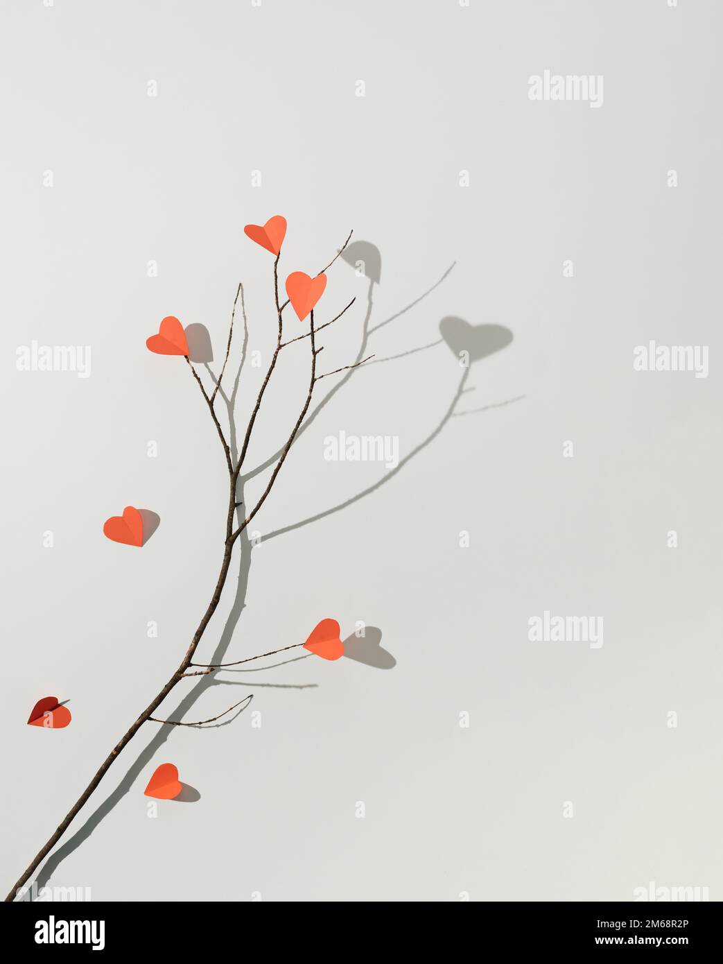 Ast mit roten Papierherzen auf weißem Hintergrund. Minimale Liebe oder valentinskonzept. Stockfoto