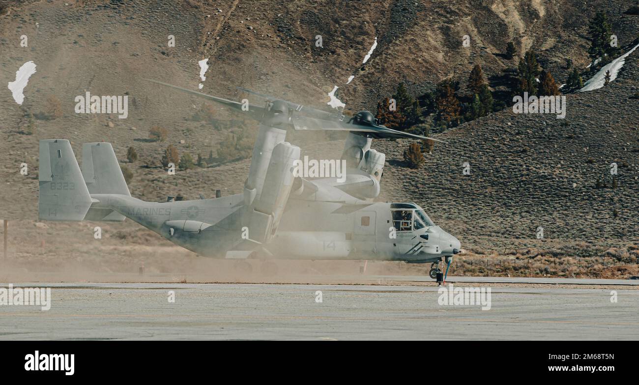 EIN US-AMERIKANISCHER Marine Corps MV-22B Osprey Aircraft with Marine Medium Tiltrotor Squadron (VMM) 162, Marine Aircraft Group 26, 2. Marine Aircraft Wing startet vom Expeditionary Airfield, Marine Corps Mountain Warfare Training Center, Bridgeport, Kalifornien, 19. April 2022. Die Osprey flogen Marines und Soldaten zum Hawthorne Army Depot, Nevada, um eine nächtliche Razzia in großer Höhe auf einer städtischen Einrichtung durchzuführen. Stockfoto