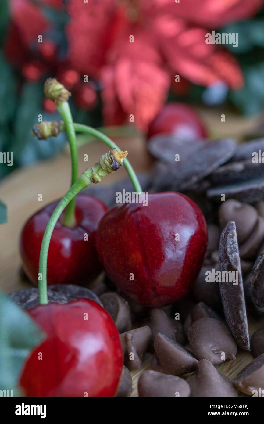 Frische rote Kirschen und dunkle Schokoladenknospen Stockfoto