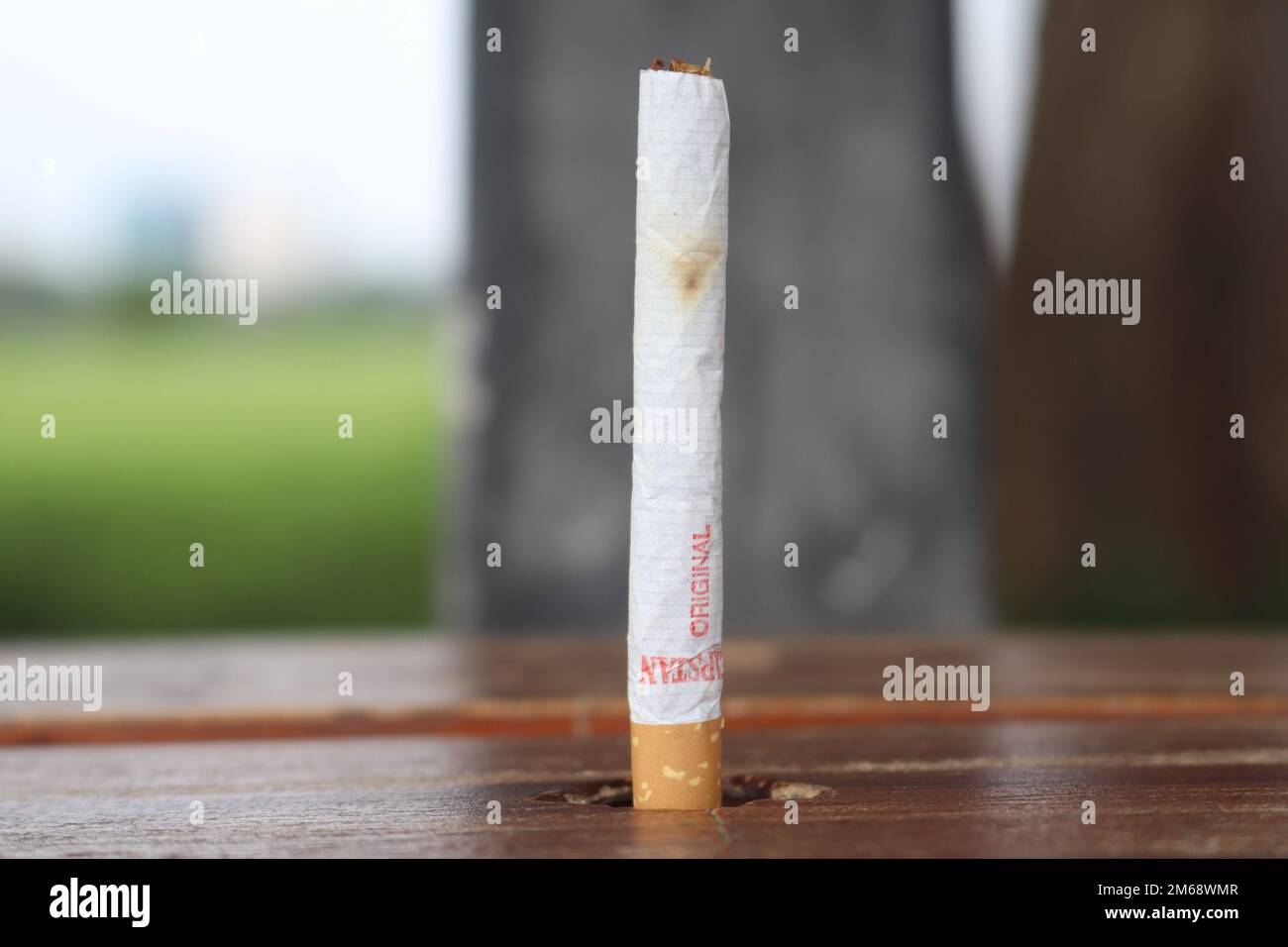 Die lebenszerstörende Sache. Zigarette schädigt die Lunge und auch die Umwelt. Das meistbenutzte Ding der Welt. Das Leben hacken Ding auf der Erde. Stockfoto
