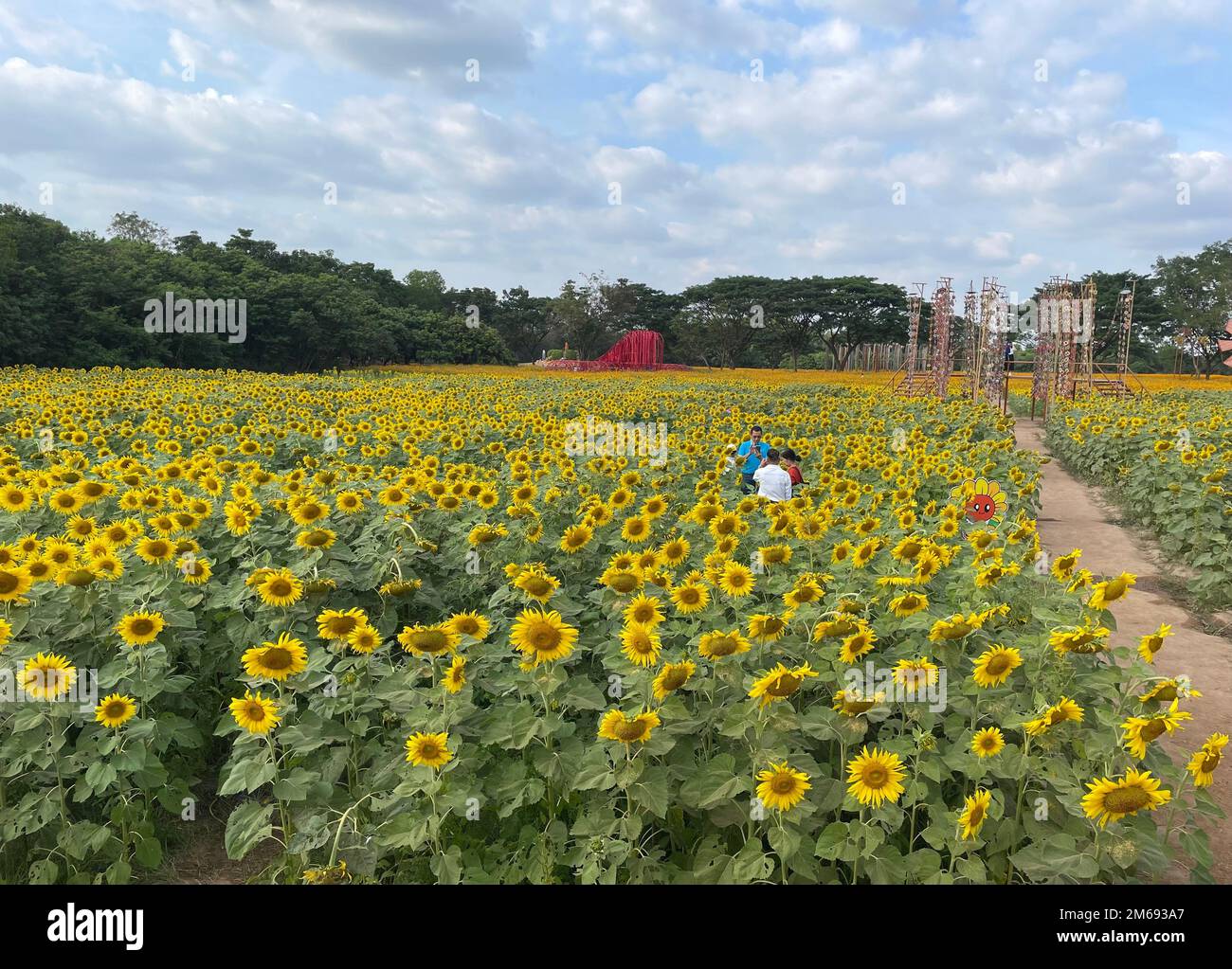 Bangkok, Thailand. 25. Dezember 2022. Touristen haben Spaß auf der Jim Thompson Farm, drei Autostunden von Bangkok, Thailand, vom 25. Dezember 2022 entfernt. ZUM Thema „Feature: Thailands Tourismussektor bereitet sich auf die Rückkehr chinesischer Reisender vor“: Chen Jiabao/Xinhua/Alamy Live News Stockfoto