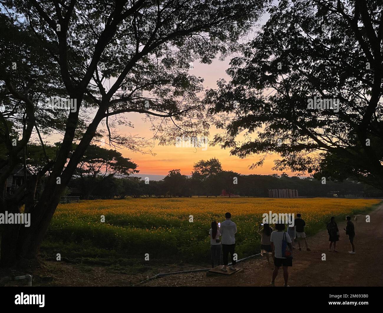 Bangkok, Thailand. 25. Dezember 2022. Touristen haben Spaß auf der Jim Thompson Farm, drei Autostunden von Bangkok, Thailand, vom 25. Dezember 2022 entfernt. ZUM Thema „Feature: Thailands Tourismussektor bereitet sich auf die Rückkehr chinesischer Reisender vor“: Chen Jiabao/Xinhua/Alamy Live News Stockfoto