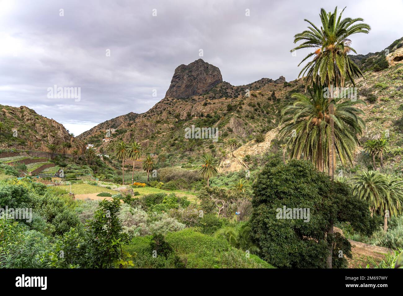 Der Felsen Roque Cano im Tal von Vallehermoso, La Gomera, Kanarische Inseln, Spanien | The Rock Roque Canoat Vallehermoso Valley, La Gomera, Ca Stockfoto