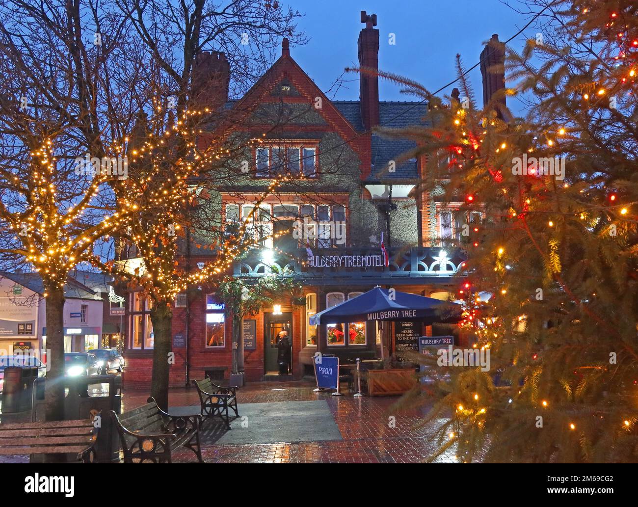Weihnachten im Mulberry Tree Pub, Victoria Square, Stockton Heath, Warrington, Cheshire, England, Großbritannien, WA4 2AF, Abenddämmerung mit Bäumen und Dekorationen Stockfoto