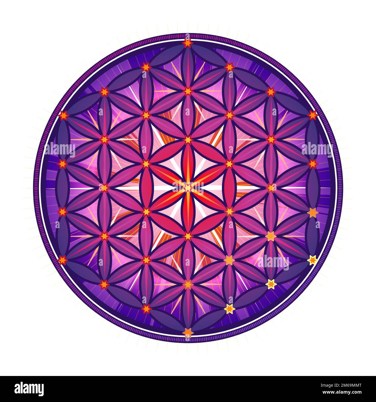 Violettes Symbol Blume des Lebens. Die Blume des Lebens ist ein Symbol