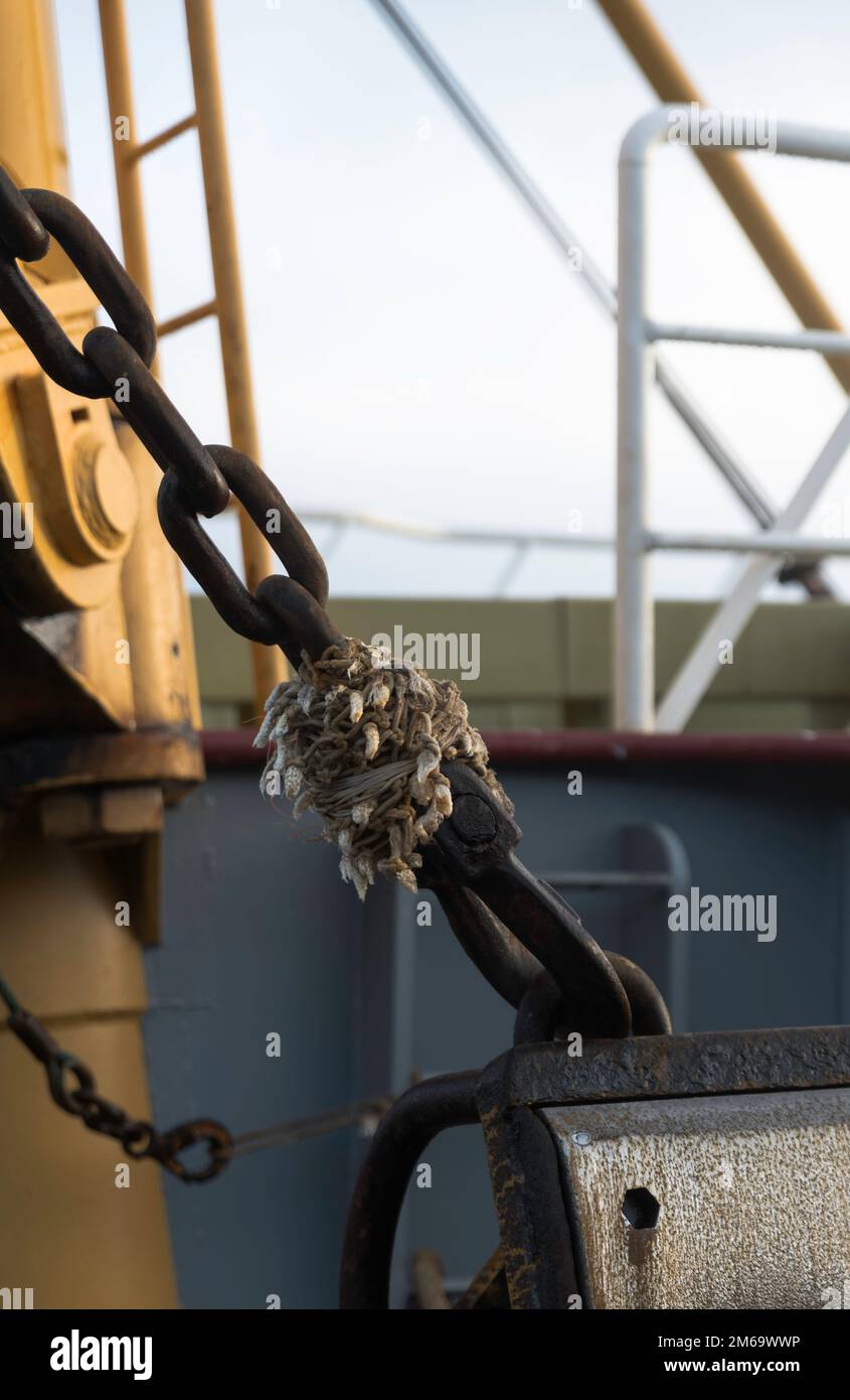 Kette mit Sense-Haken zum Befestigen von Fanggerät an einem Schiff Stockfoto