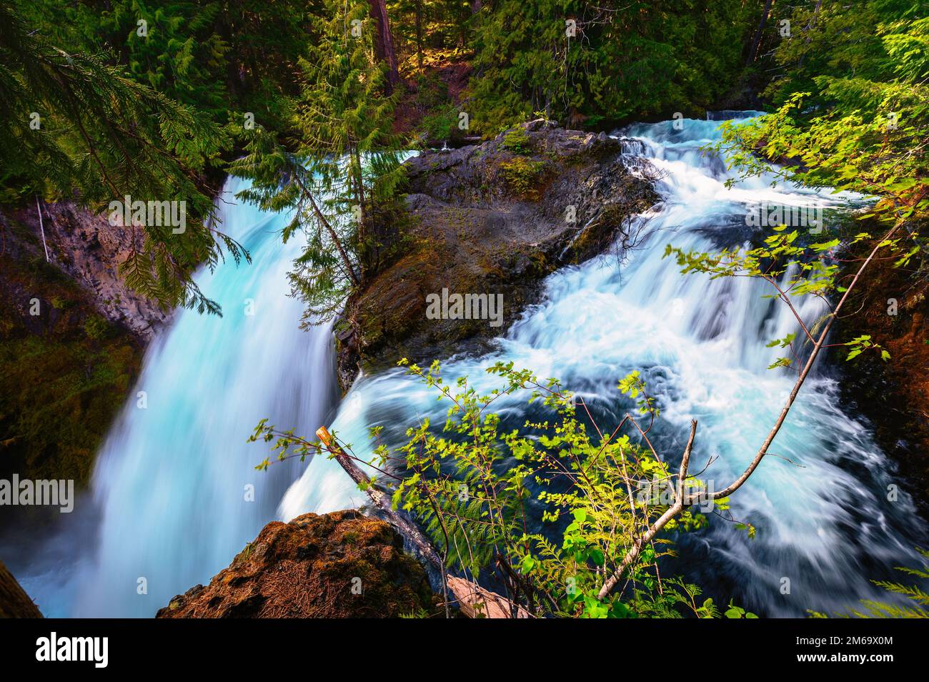 Sahalie Falls am McKenzie River im Willamette National Forest, Oregon Stockfoto