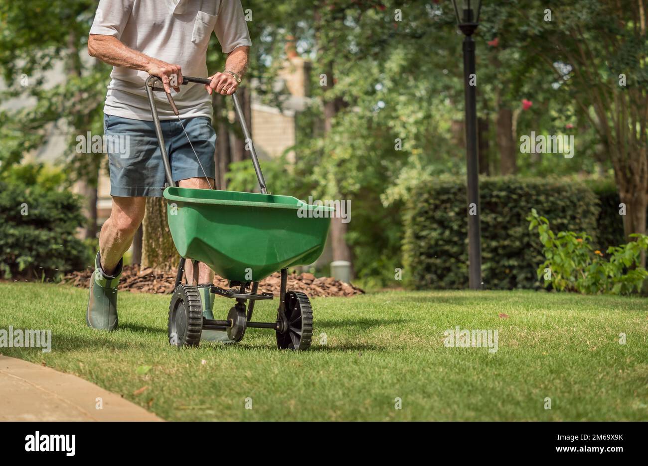 Mann sät und düngt Rasen im Hinterhof mit manuellem Grassaatstreuer. Stockfoto