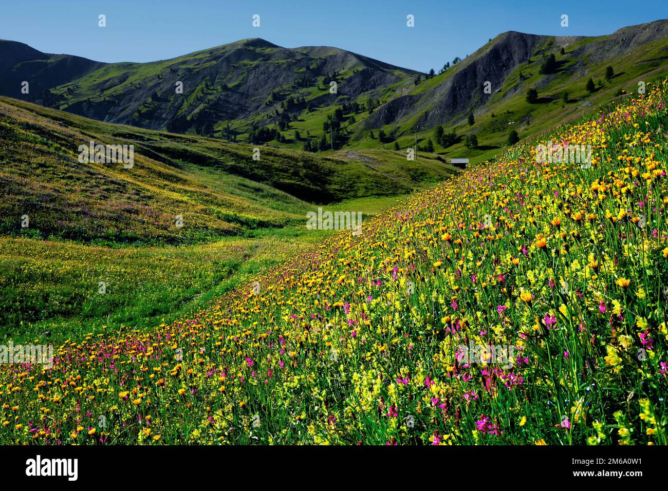 Mercantour-Nationalpark, Meeresalpen, Frankreich Stockfoto