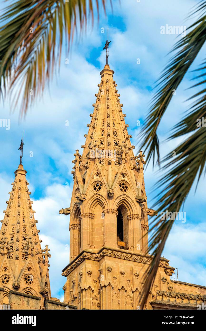 Detail der Kathedrale von Palma de Mallorca Stockfoto