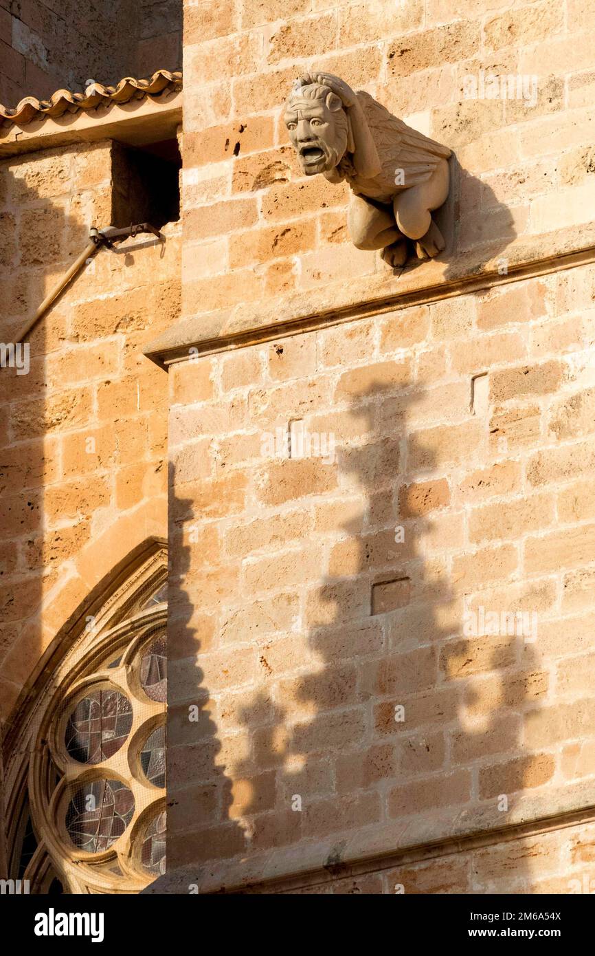 Gargoyle in der Kathedrale von Palma de Mallorca Stockfoto