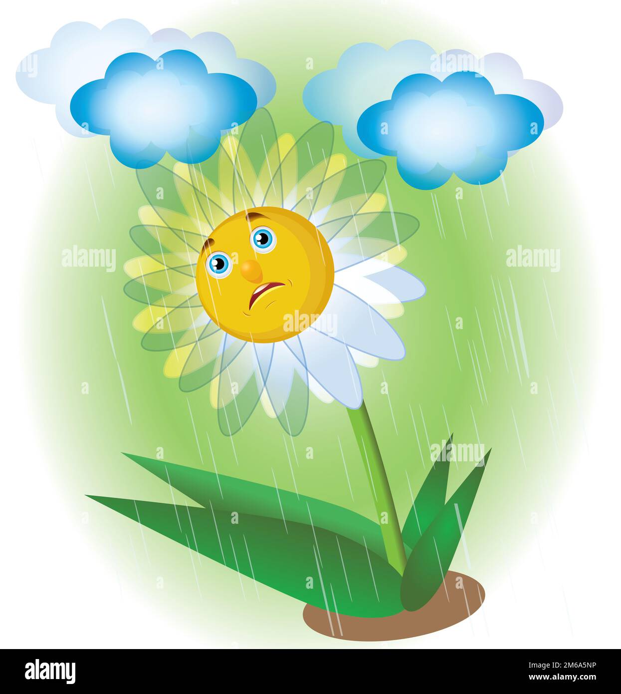 Traurige Kamille Stockfoto