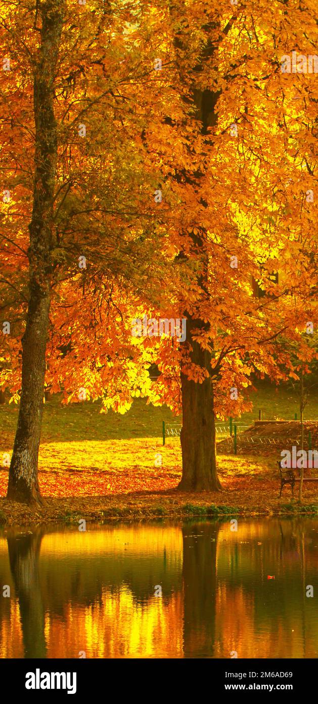 Schönen Farben der herbstliche Landschaft am See Stockfoto