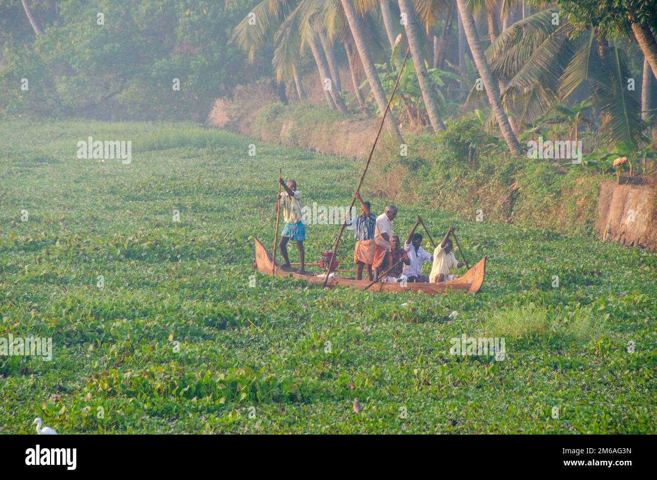 Indien, Kerala und Nebengewässer - Gottes Land Stockfoto