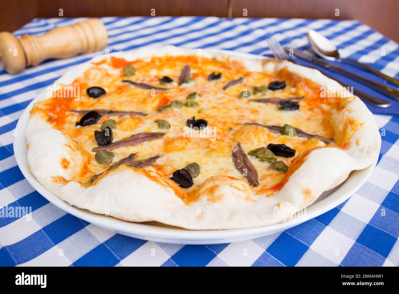 Sardelle Sizilianische Pizza. Neapolitanische Pizza mit Mozzarella-Käse ...