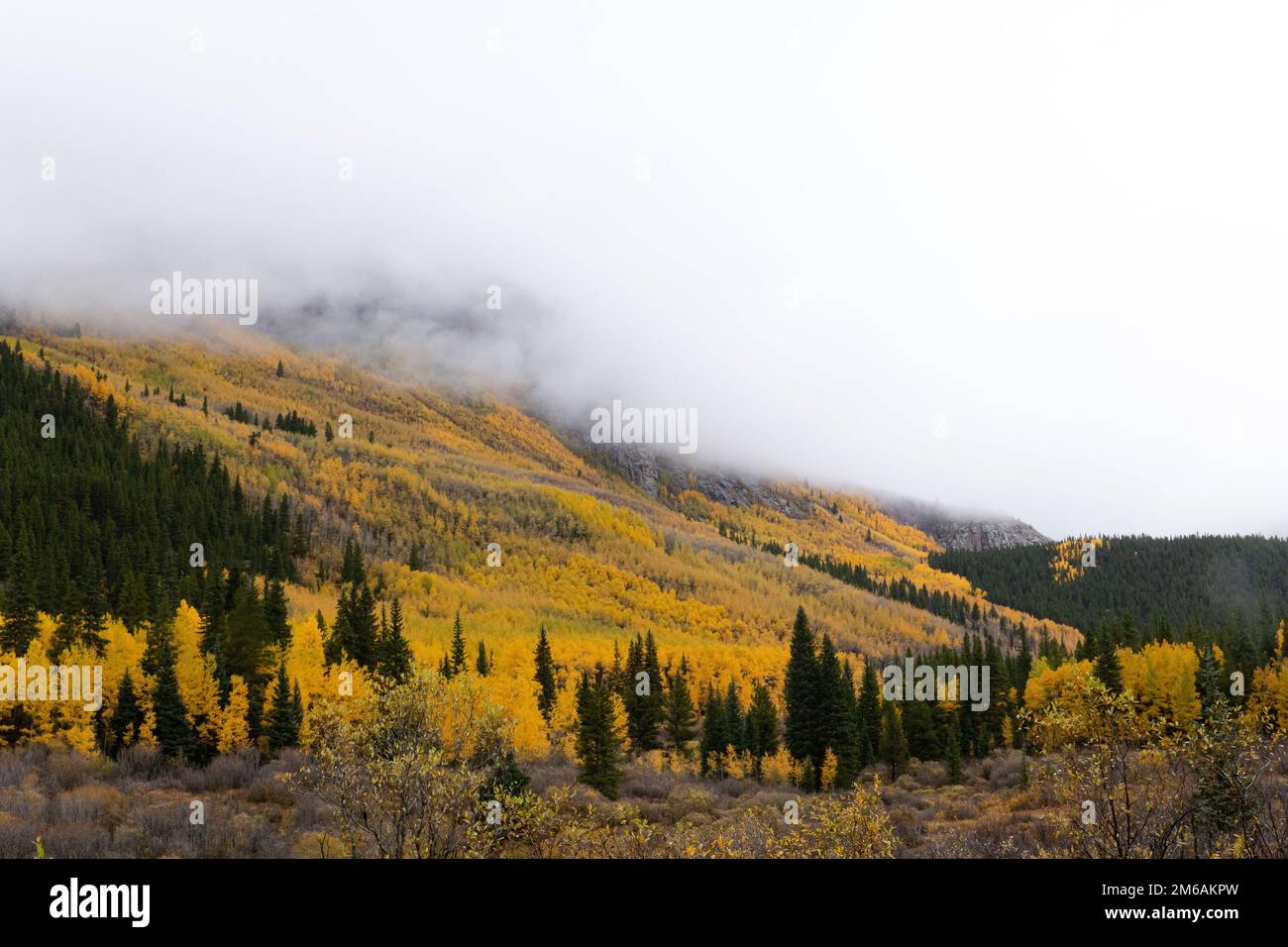Berggipfel bedeckt mit Wolken und gelben Aspen. Stockfoto