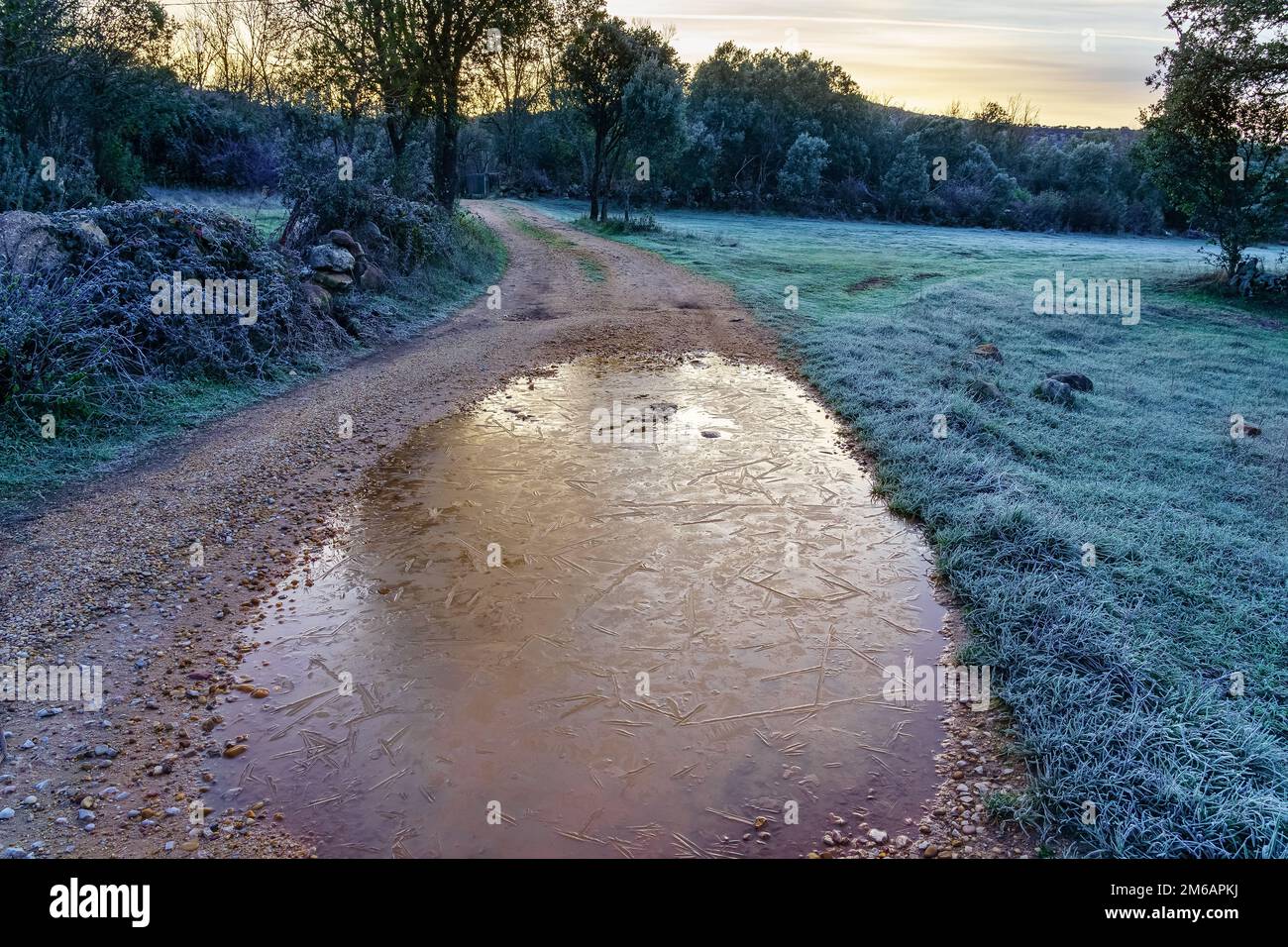 Gefrorene Pfütze auf der Feldstraße bei Sonnenaufgang an einem sehr kalten Wintertag. Stockfoto