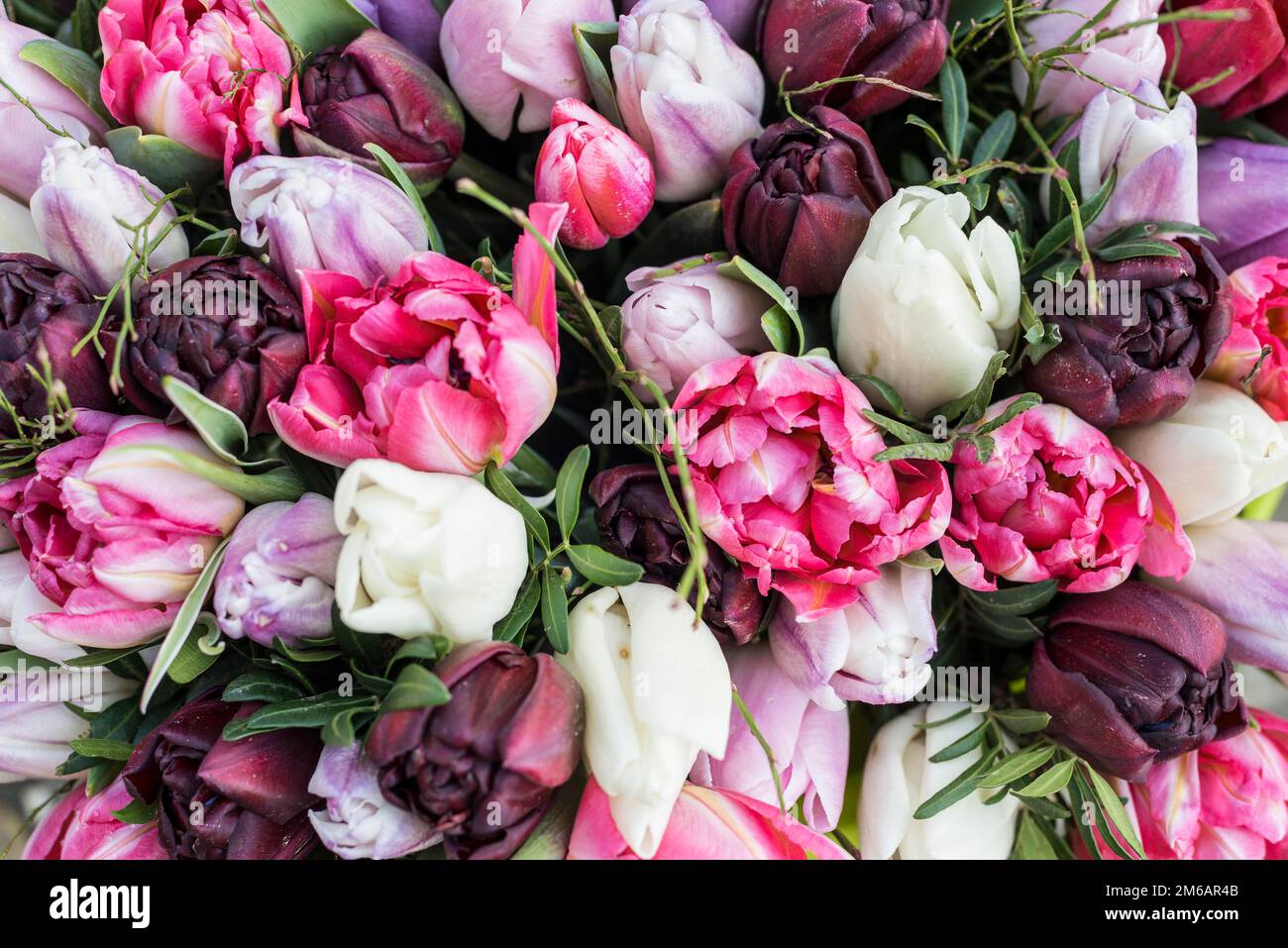 Bouquet mit bunten Tulpen Stockfoto