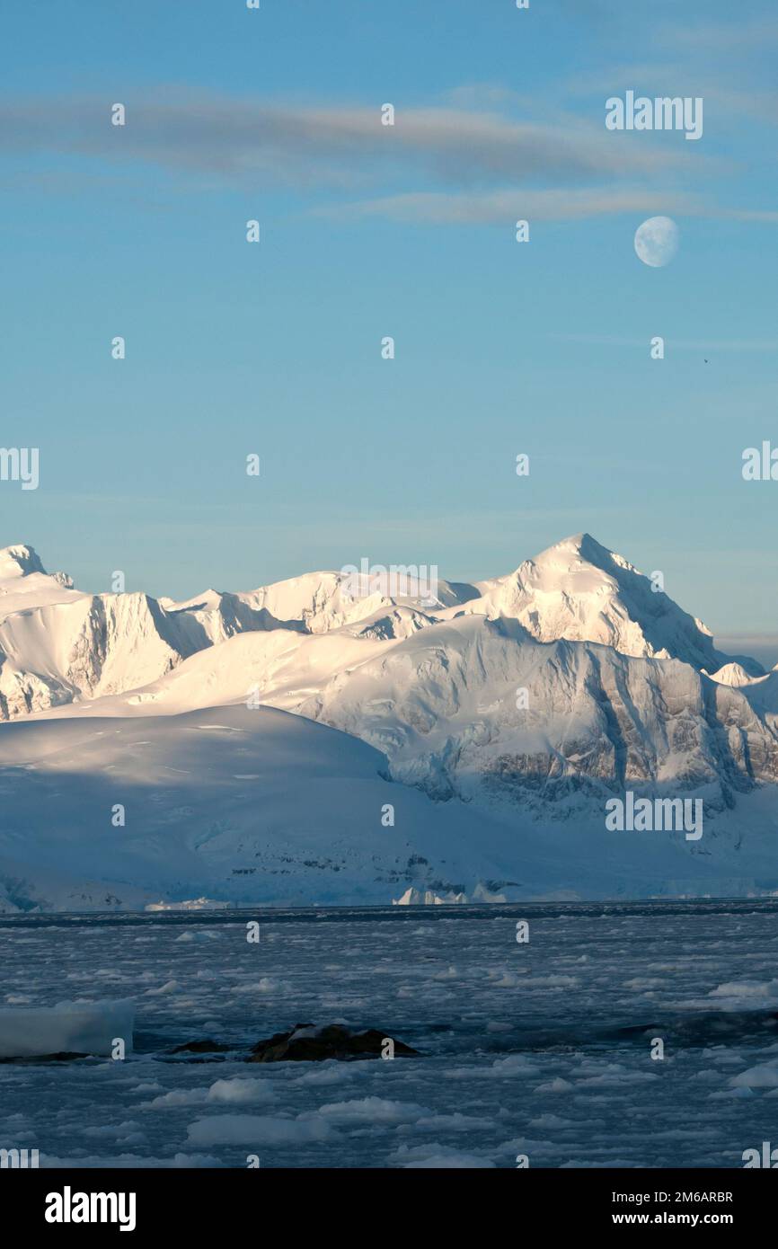 Die antarktischen Berge im Mondschein im Sommer. Stockfoto