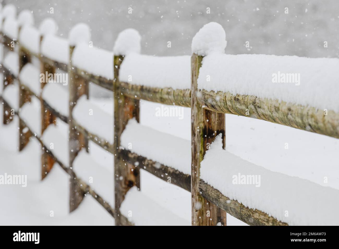 Schnee, der sich auf den Schienen und Pfosten eines Zauns mit drei Schienen in einer Winterszene mit weichem Fokus ansammelt Stockfoto