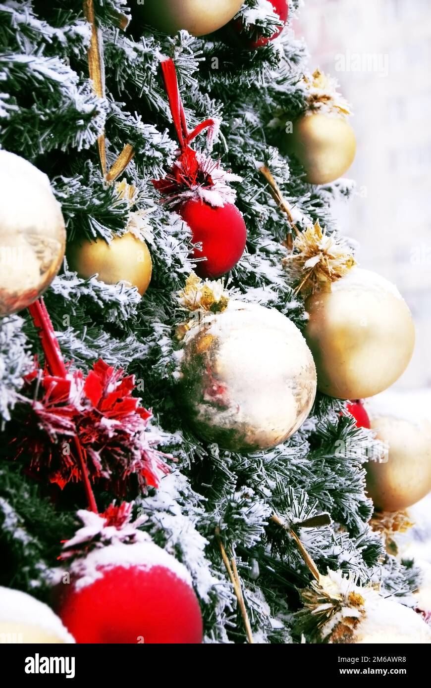 Weihnachtsbaum Stockfoto