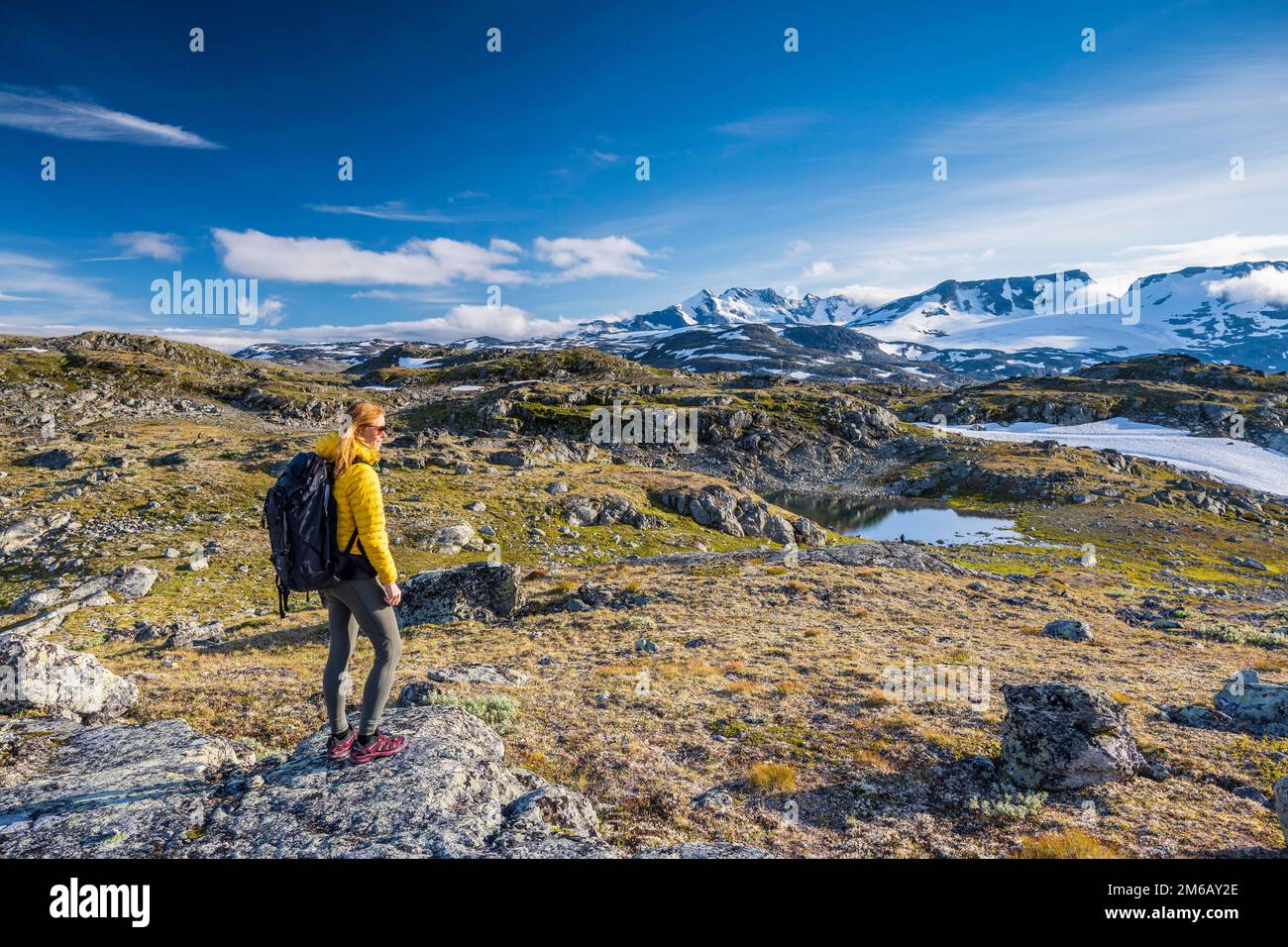 Wanderer mit Blick auf Mount Fannaraki, Sognefjellet, Jotunheimen-Nationalpark, Norwegen Stockfoto