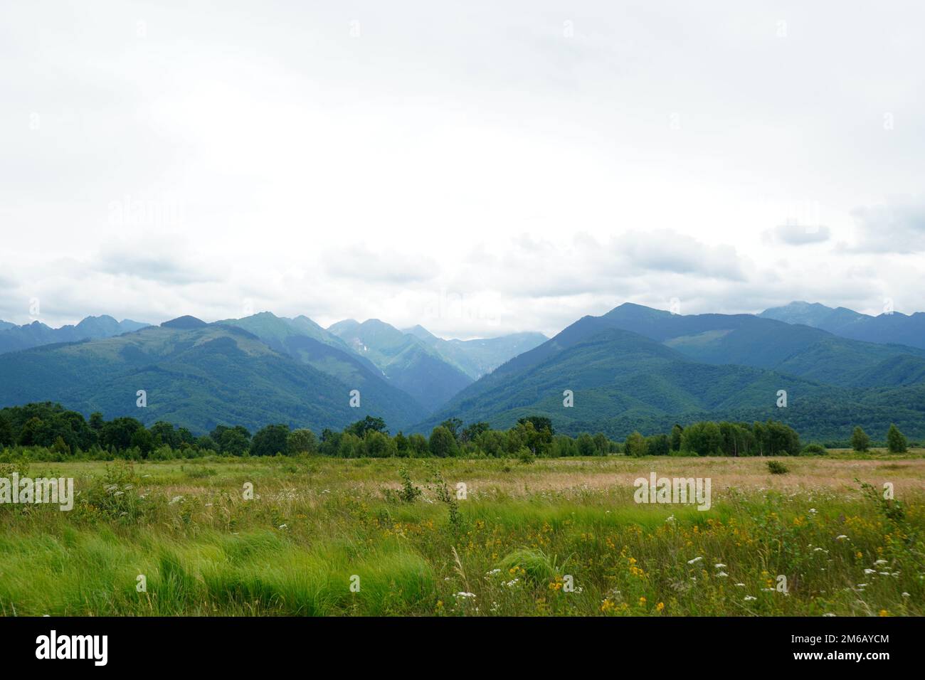 Naturlandschaft mit Fagaras-Bergen, Wald und Grasland in Siebenbürgen, Rumänien, am bewölkten Sommertag Stockfoto