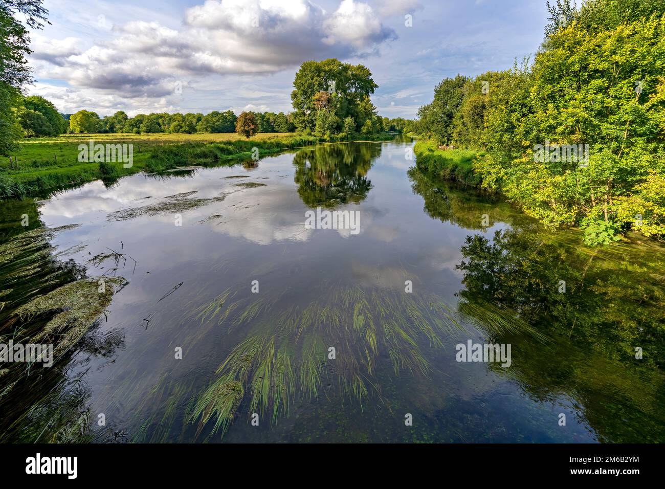 River Test in Stockbridge, Hampshire, England, Großbritannien Stockfoto