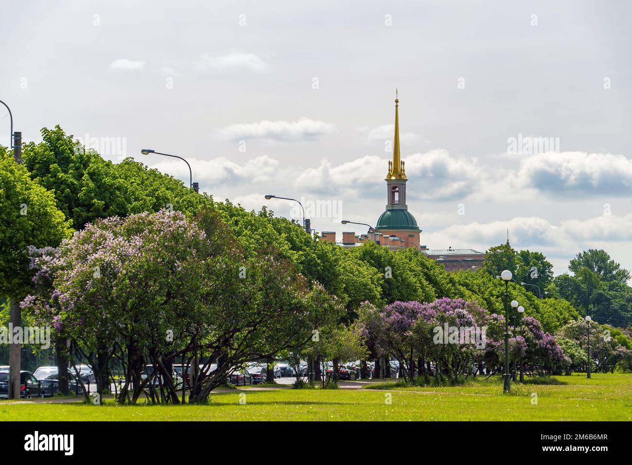 Fliederbüsche auf dem Champ de Mars. St. Petersburg. Stockfoto