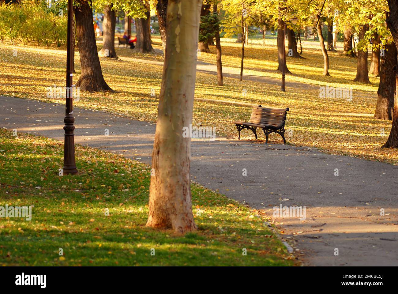 Herbst-park Stockfoto