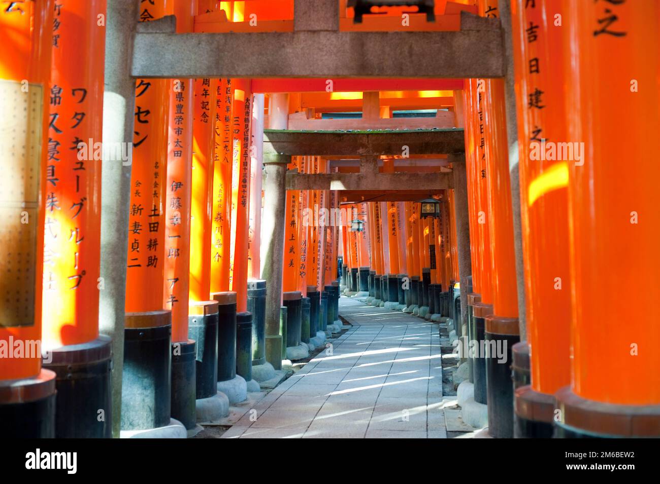Lange Reihe historische Torri Tore in Japan Stockfoto