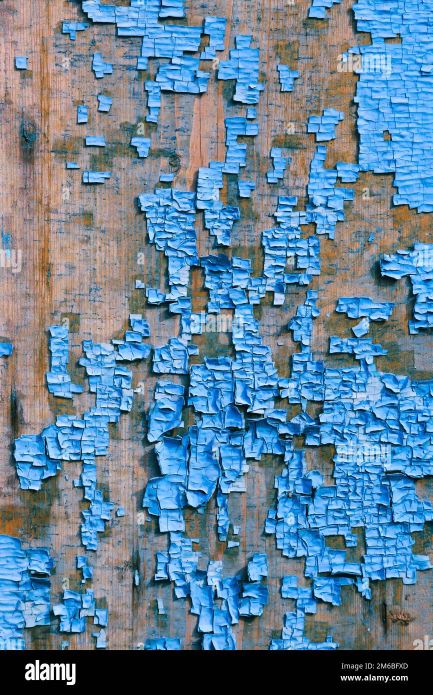 Alte blaue rissige Lack auf Holz Hintergrund Stockfoto