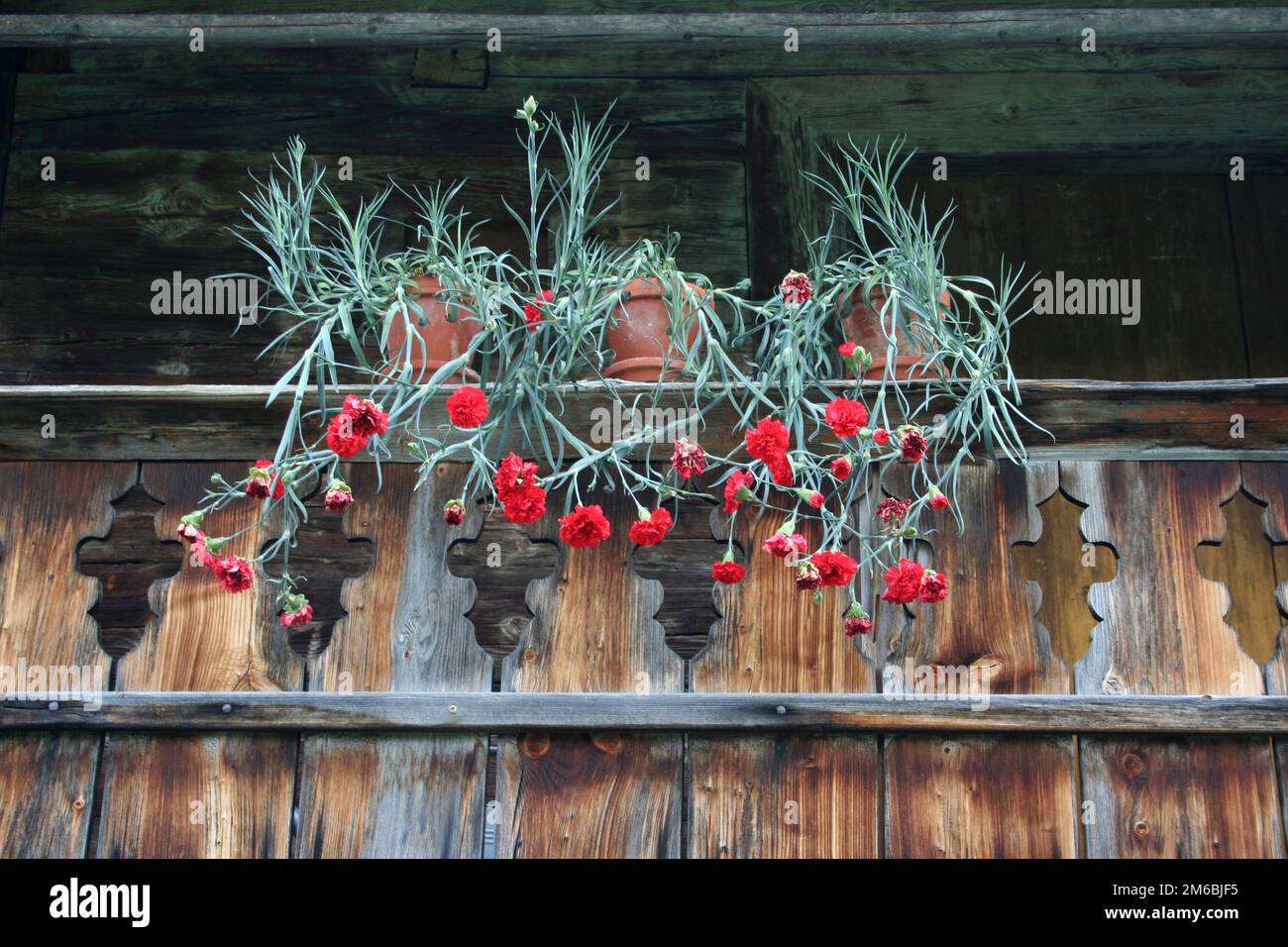 Blumen auf dem Balkon des bayerischen Holzhauses Stockfoto