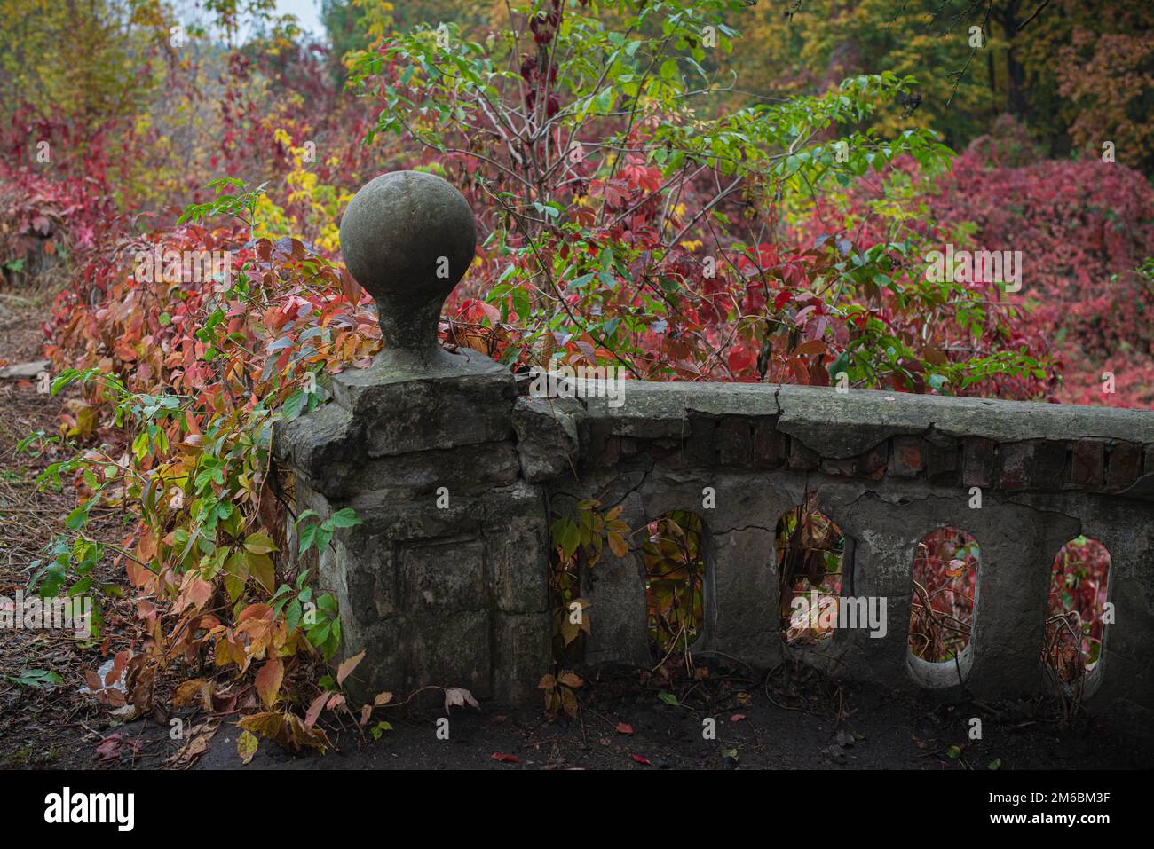 Heller Herbst in der alten Burg Stockfoto