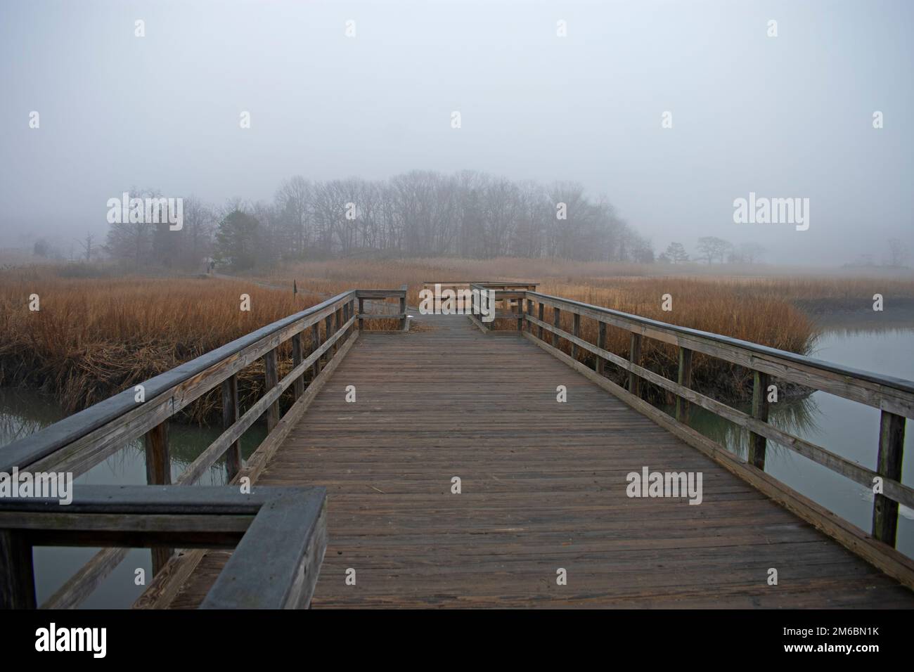 Ein nebliger Morgen an der Krabbenbrücke am Perrine Road Trail im Cheesequake State Park, Matawan, New Jersey -05 Stockfoto