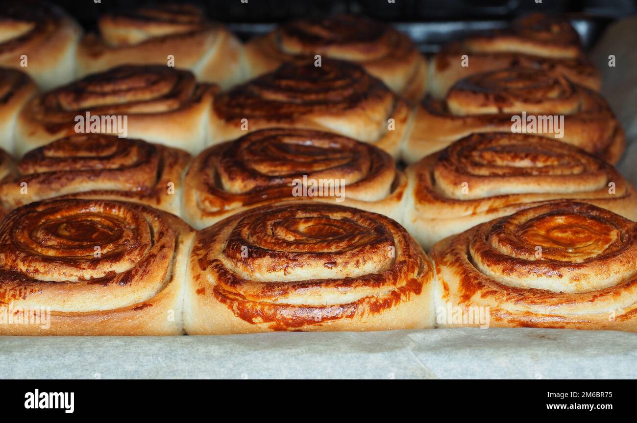 Nahaufnahme von frisch gebackenen Zimtschnecken nach dem Backen im Ofen, mit Eigelb, auf Backpapier Stockfoto